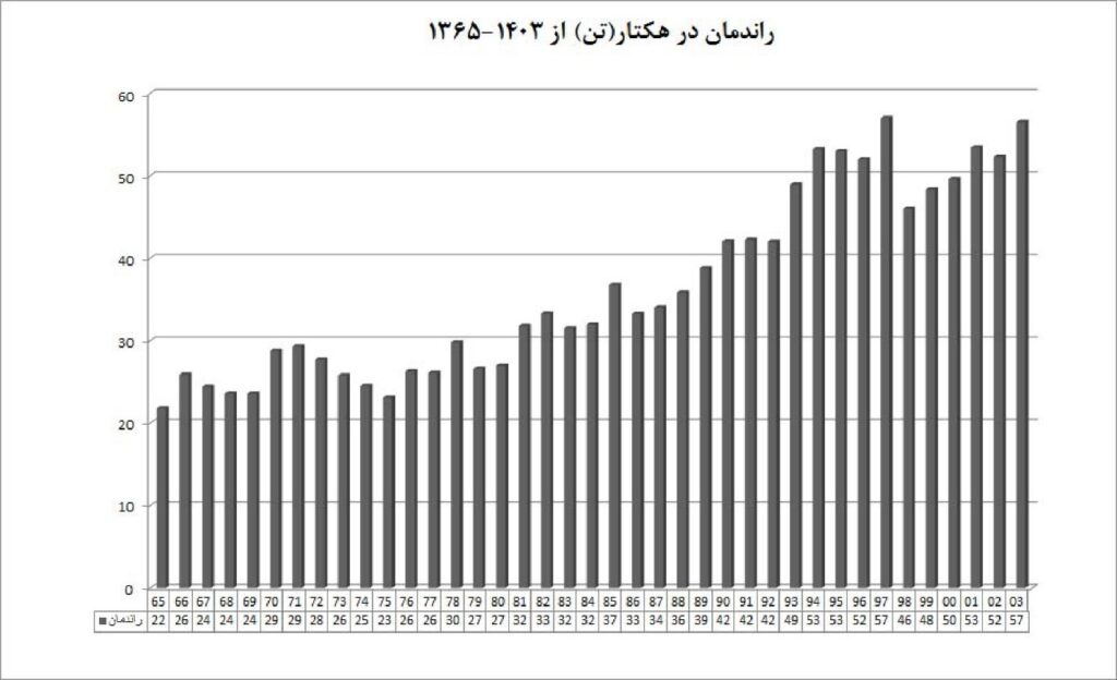 روند راندمان تولید چغندرقند در ایران (۱۳۴۵ تا ۱۴۰۳)