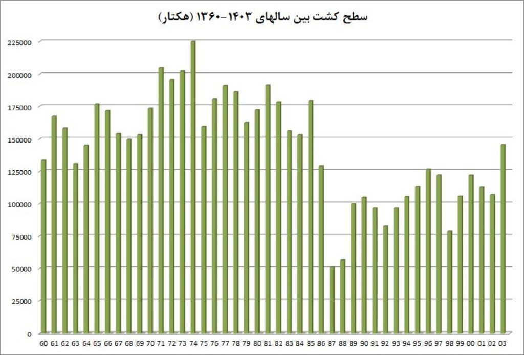 سطح کشت چغندرقند در ایران (۱۳۴۰ تا ۱۴۰۲)